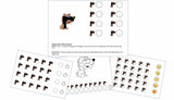 Lively Letters for Speech: Reproducible Multiple Repetition Dauber Packet (E-product)