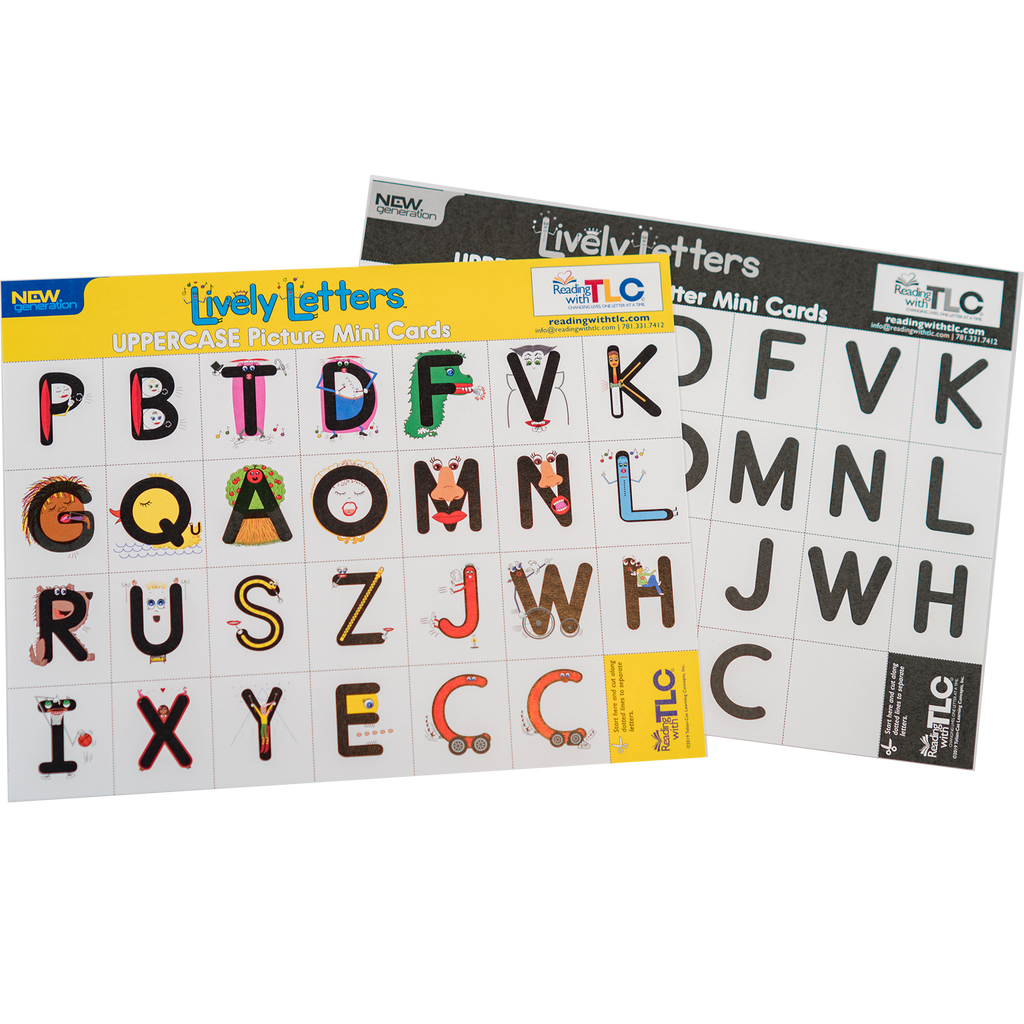 New Generation Lively Letters™ Uppercase Picture and Plain Letter Mini ...