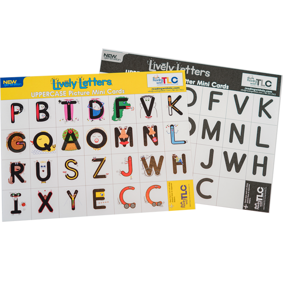 New Generation Lively Letters™ Uppercase Picture and Plain Letter Mini Card Sets